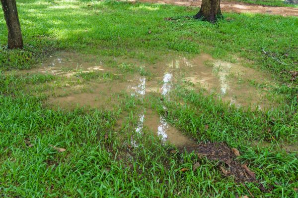 Cost of Storm Water Drainage Service in Wentzville