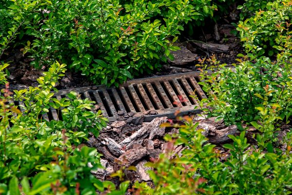 Cost of Underground Drainage Service in Wentzville