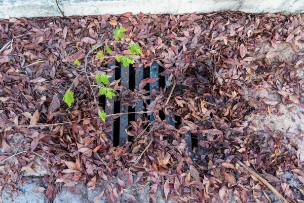 Cost of Yard Drain Unclogging in Wentzville