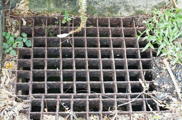 Cost of Yard Drain Cleaning in Wentzville