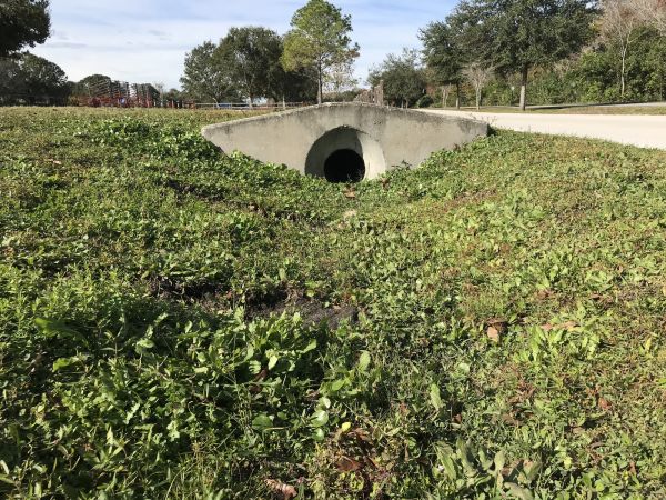 Cost of Swale Drainage Service in Wentzville